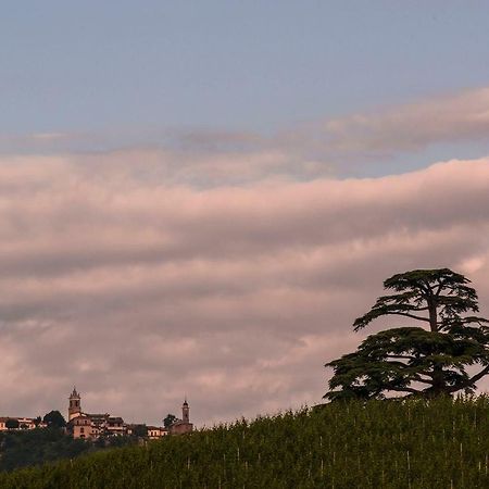 Villa Goccia Di Vino La Morra Dış mekan fotoğraf