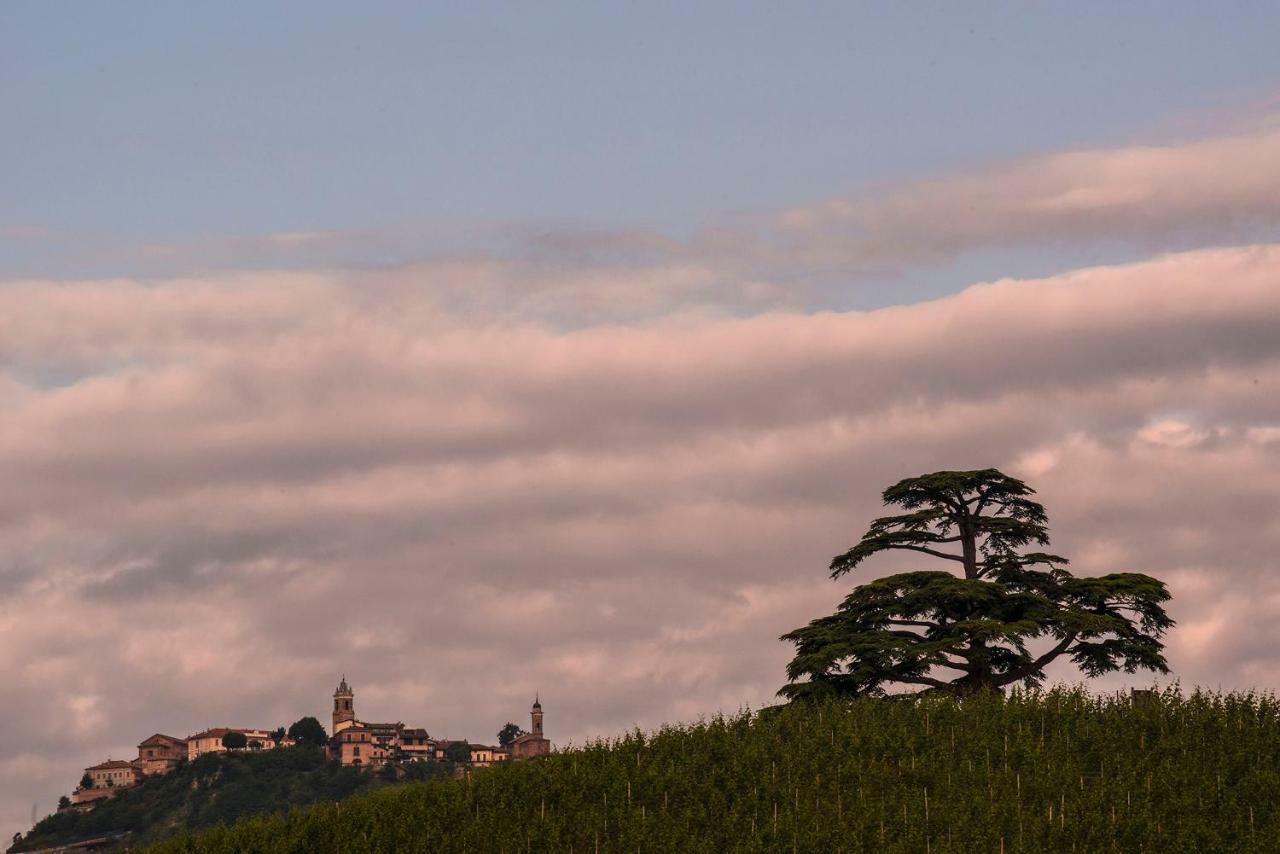 Villa Goccia Di Vino La Morra Dış mekan fotoğraf